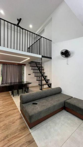 Luxurious studio House